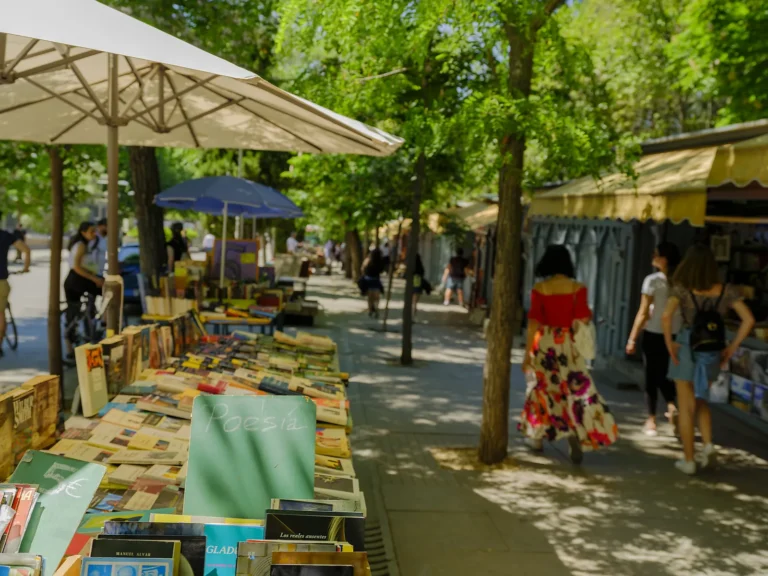 Private Madrid walking tour 4 Open-air second-hand book stalls under summer trees on a private Madrid walking tour