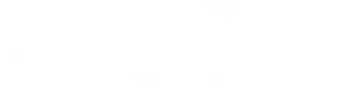 Dinamo Bike Tours — Madrid